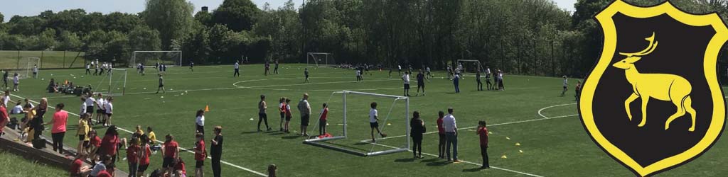 Debden Park High School